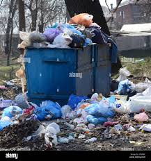 Trusted Pine Island, MN Junk Removal Services Experts
