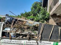  Pine Island, MN Junk Removal Services Pros