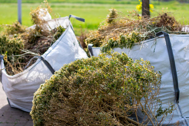 Best Hoarding Cleanup  in Pine Island, MN